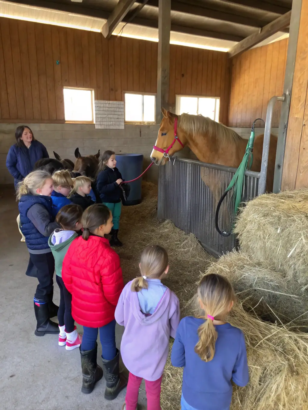A cheerful group of children participating in a pony discovery workshop, gently brushing and interacting with small ponies in a safe, welcoming stable environment.